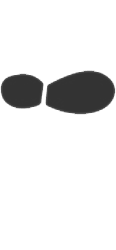 left footprint